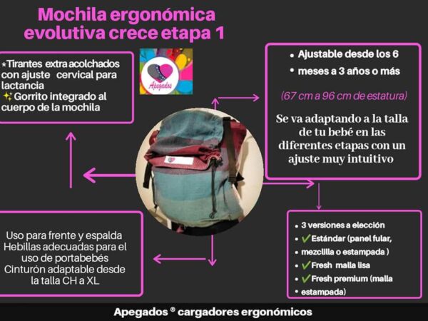 EVOLUTIVA a partir de 7-8 meses - Image 3