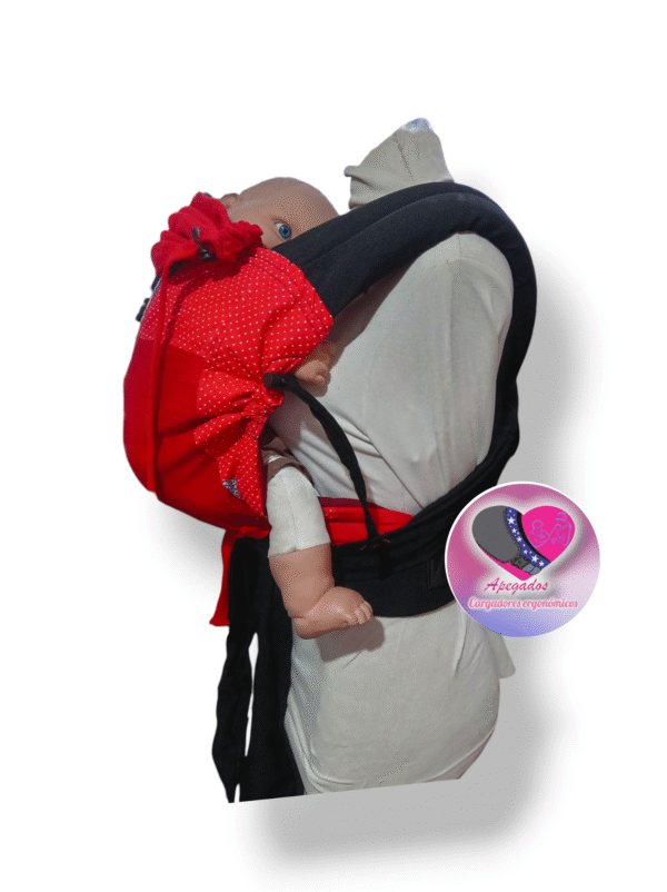 Miechila evolutiva fresh